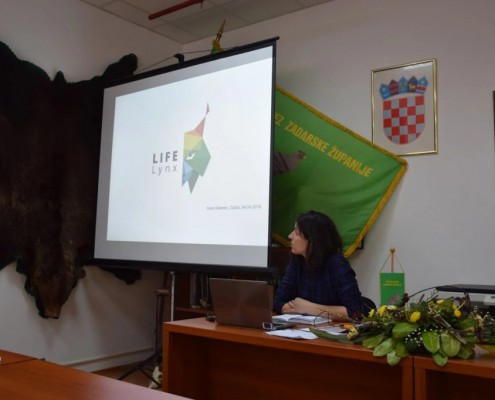 life-lynx-zadar_4_4