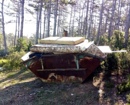 zelena-cistka-7_result